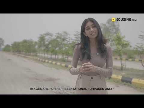 Ridge Sunrise City Project Video 1