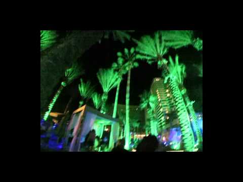 Neon Nights at Dive Dayclub Harrah's Resort 031414