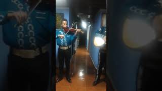Video de Mariachi Fiesta Show Juvenil