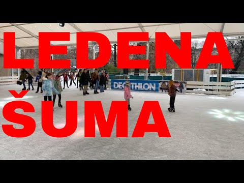 Ledena šuma Novi Sad