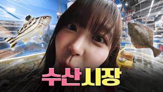 광광우럭우럭🐟 회 썰다가 멘탈 털린 거 실화?! ㅣ 열매니저 청해수산 편