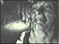 Gorilla Zoe - Fuck Nigga (Dubstep/Bass Remix ...
