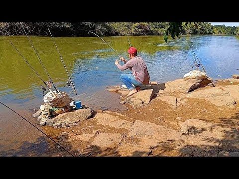 NUNCA VIMOS TANTO PEIXE ASSIM ERA UM ATRÁS DO OUTRO SO GIGANTE 