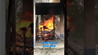 Download lagu jolbi dau dau kore mp3