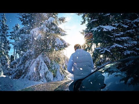 MiZeb - FÜR IMMER WINTER (prod. by cronsenbeatz)