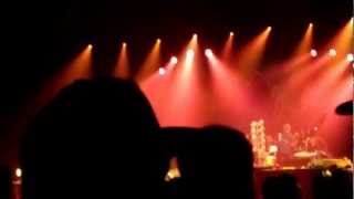 Windora Bug Trey Anastastio Band