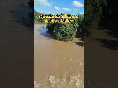 Apreciando a lindeza do rio ribeira na divisa do município de Cerro azul e Doutor Ulysses Paraná