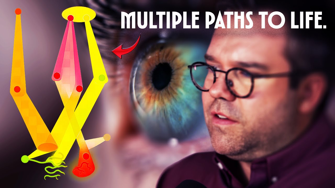 Why We Always Evolve Eyes