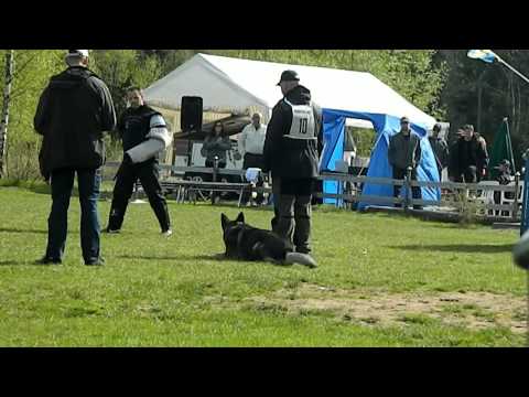 Schäferslaget 2012 C.mp4