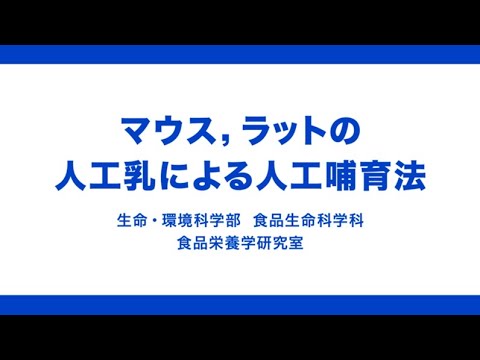 パカ (げっ歯類)について詳しく解説