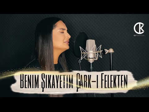 Betül Barkin YILDIZ - Benim Şikayetim Çark-ı Felekten
