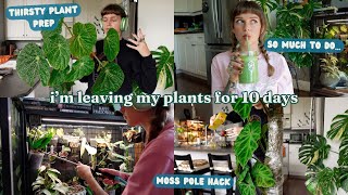 🌿 how I prepare my houseplants for when I travel 🌿✈️