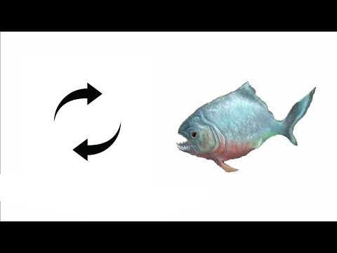 2 piranha spinning (arbs mobile)
