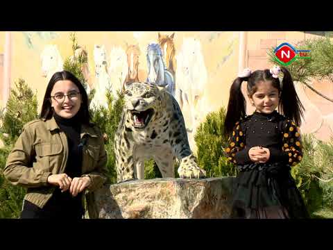 Birlikdə öyrənək - 10.10.2021