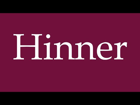 How to Pronounce ''Hinner'' Correctly in German