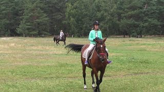 💕The first time with a horse without a trainer💕