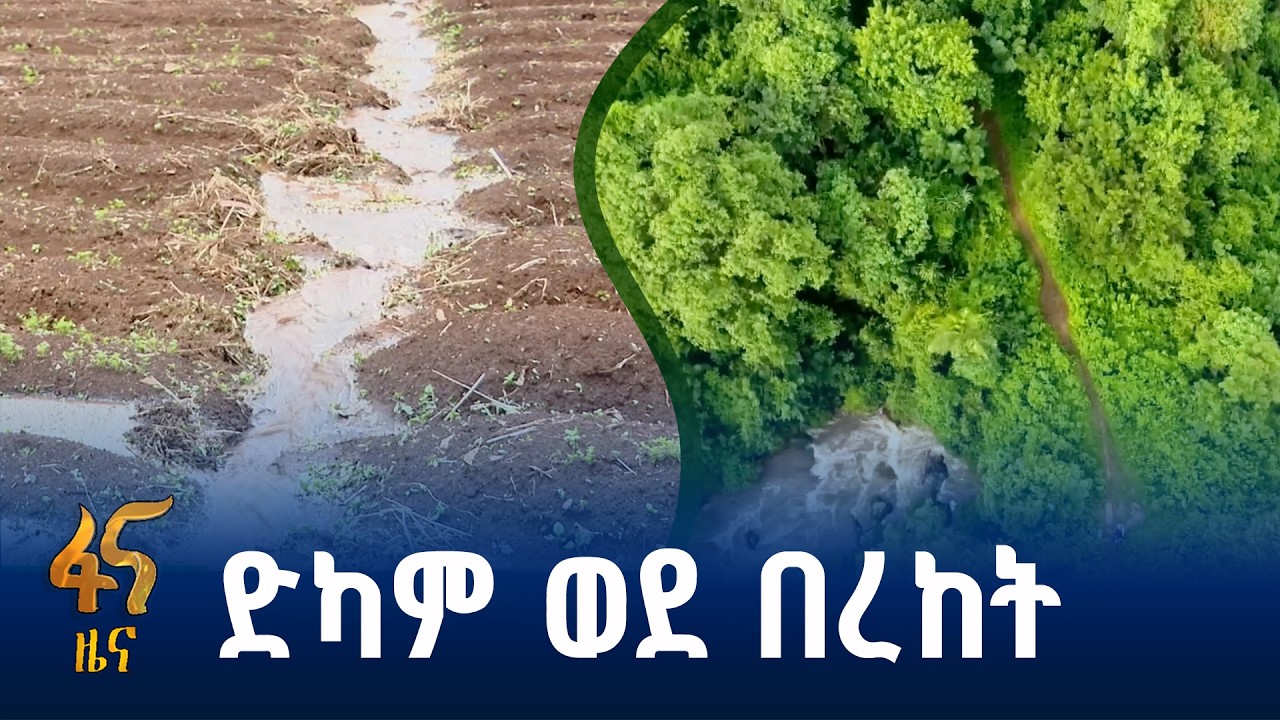 የአረንጓዴ ዐሻራ ትሩፋት