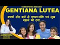 This Medicine Will Make The Body Healthy And Strong Gentiana Lutea Homeopathic Medicine Genti