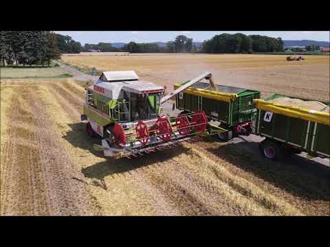 Dominator 88 bis TUCANO 430 -  3 Claas Mähdrescher bei der Getreide Ernte.