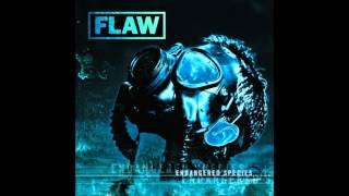 Flaw - Not Enough