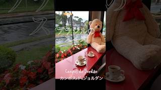 【サンパウロ在住🇧🇷】Campos do Jordão(カンポス•ド•ジョルダン)に日帰り旅行
