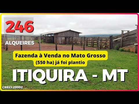 246 ALQ EM ITIQUIRA - FAZENDA À VENDA NO MATO GROSSO [🌱DUPLA APTIDÃO🐄] 62.99972-2000 #fazenda #agro