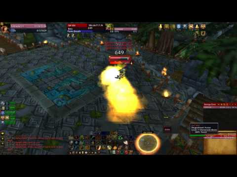 WoW: Protection Paladin solo Jan'alai | Zul'Aman Part 2