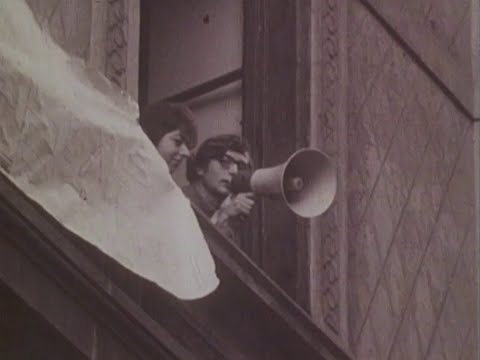 Il Corpo Rubato by Ellis Donda (excerpt)