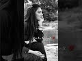 New Sad Shayari WhatsApp Status Video 2023 Love Poetry Status Tik Tok Shayari Status