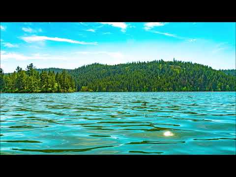 Chemical Surf & Jetlag - Kids (Extedend Mix)