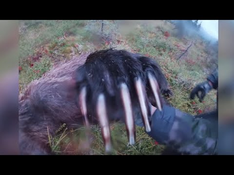 Mammoth Alaskan Brown Bear Hunt & Rainbow Trout Fishing with Kent Kaiser