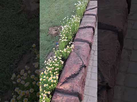 #floralarrangement #flowers #park #morning