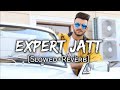 EXPERT JATT  Slowed Reverb new song #trending #viral #viralvideo #slowedandreverb #lofi #punjabi