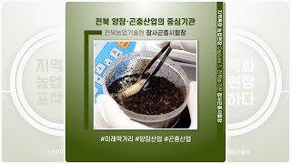 [ 지역특화 농업현장 포착하다 ] 전북농업기술원 잠사곤충시험장