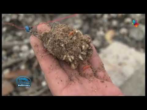 Čari Ribolova, Dunav kod Novog Sada - pecanje mrene (25.11.2018)