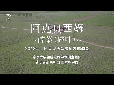 2018年 阿克贝西姆城址发掘调查 - 帝京大学丝绸之路学术调查团体_吉尔吉斯共和国 国家科学院