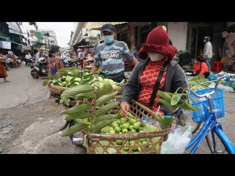Walk Around Street Food Market @Phsa Touch Toul Sangke - Morning Daily LifeStyle of Vendor in Market