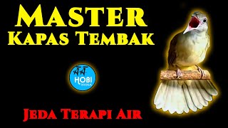 Download lagu KAPAS TEMBAK BERJEDA TERAPI AIR mp3
