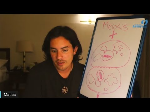 Día 324 - MITOSIS - Matias De Stefano - edición en español
