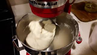 Kitchen Aid Professional 5 Plus