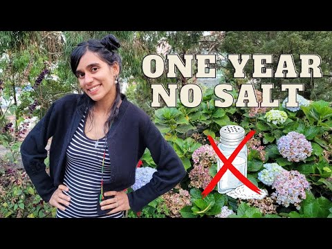 I Quit Salt For One Year - How My Life Changed
