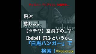 『白黒ハンガーのちょっとスキマに放送局』切り抜き【さすがみんなのテーマパーク】ディズニー好きの年齢幅は広い！ ｜ #Radiotalk#ラジオ #ラジオチャンネル #白黒ハンガー#ディズニー