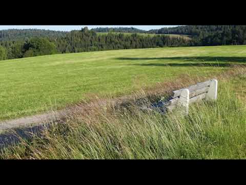 bruit relaxant et paisible du vent qui souffle dans les herbes