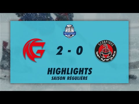 Gothiques d'Amiens 2-0 Scorpions de Mulhouse - Highlights - Synerglace Ligue Magnus 2022/23