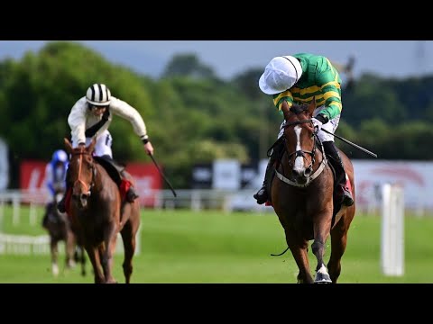 Camelot x Annie Power = DAVY CROCKETT makes taking debut at Punchestown