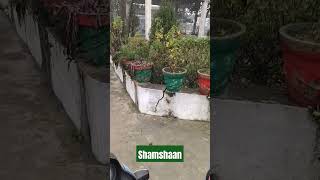 Shamshaan- The Cremation Place #shorts