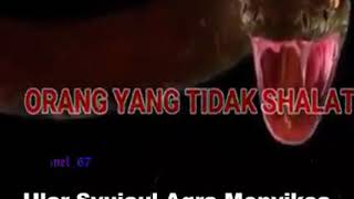 Download lagu Ular syujaul Aqra Menyiksa Orang Tidak Sholat Di Dalam Kubur Abstrak channel_67 mp3 Download lagu Ular syujaul Aqra Menyiksa Orang Tidak Sholat Di Dalam Kubur Abstrak channel_67 mp3