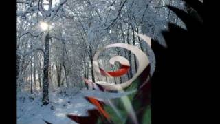 Sonata Arctica - No Dream Can Heal a Broken Heart - Lyrics