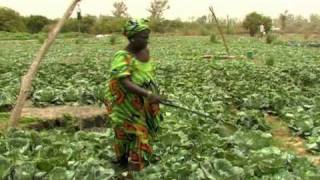 Video del Día Mundial de la Alimentación 2010