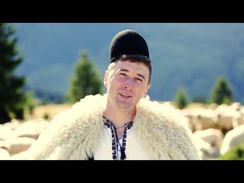 Doinel Hândorean  - Insura-m-as insura